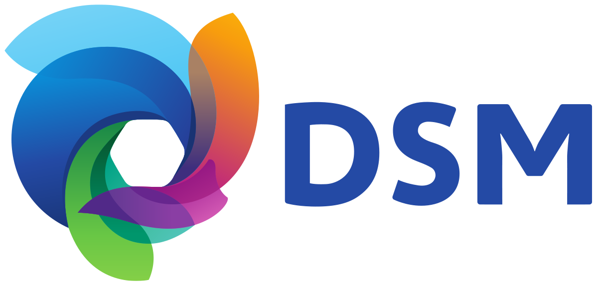 Logo DSM